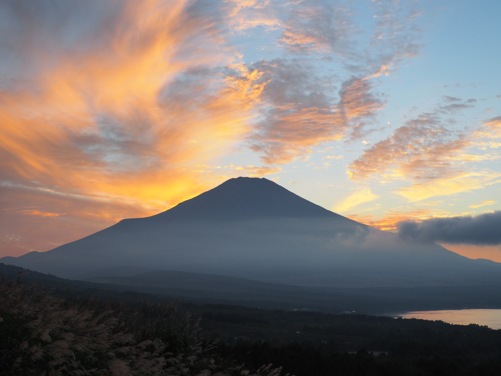 10/14 �[�Ă��̕x�m�R