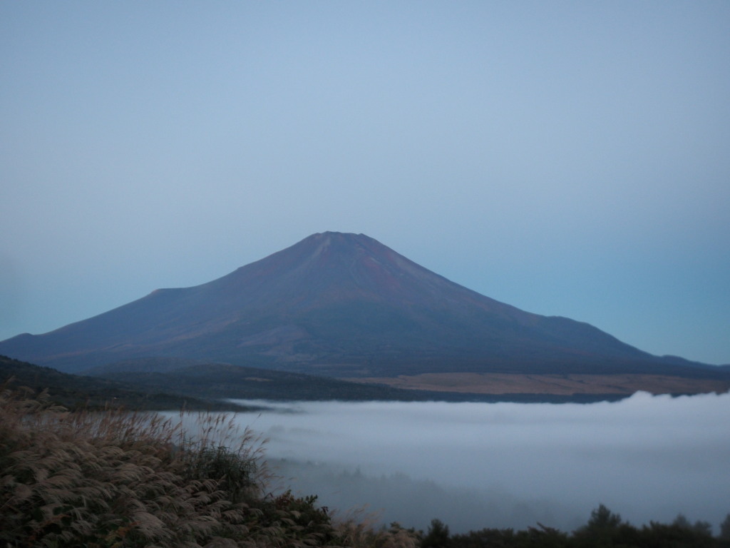 10/15 �_�C�L����