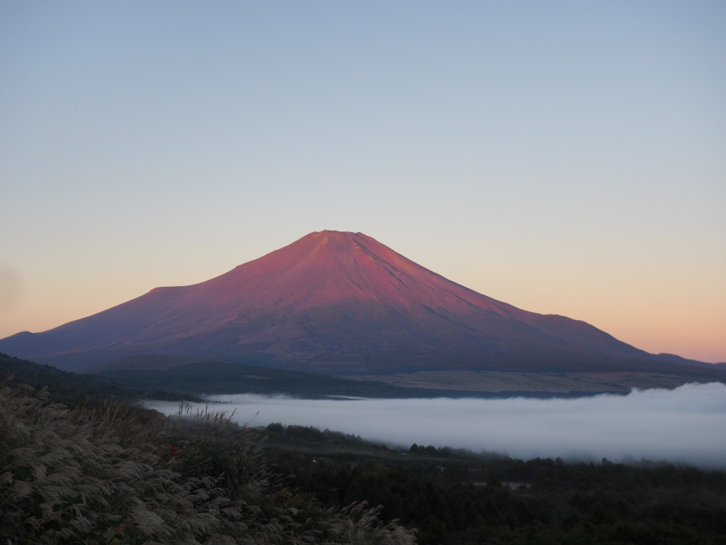 10/15 �_�C�Ɛԕx�m