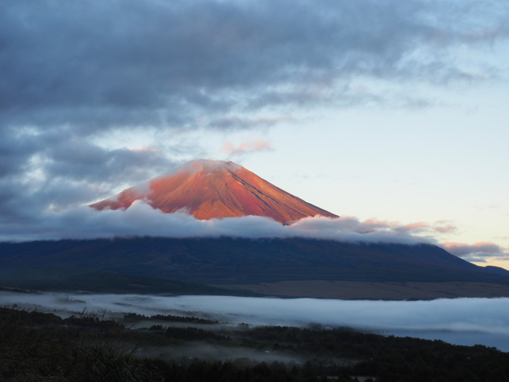 10/18 ���Ă��̕x�m�R