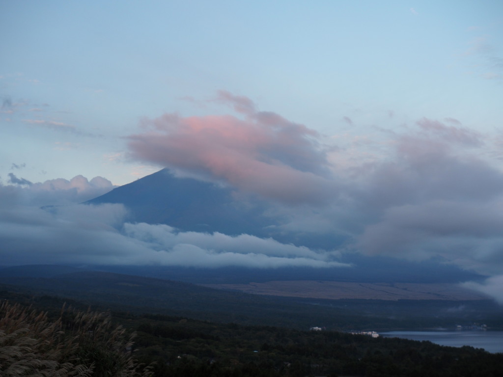 10/19 �_�̒��Ă�