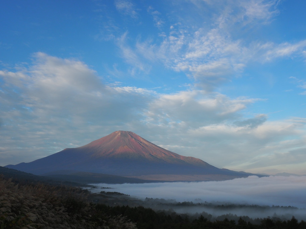 10/23 �_�C�ƒ��Ă��̕x�m�R