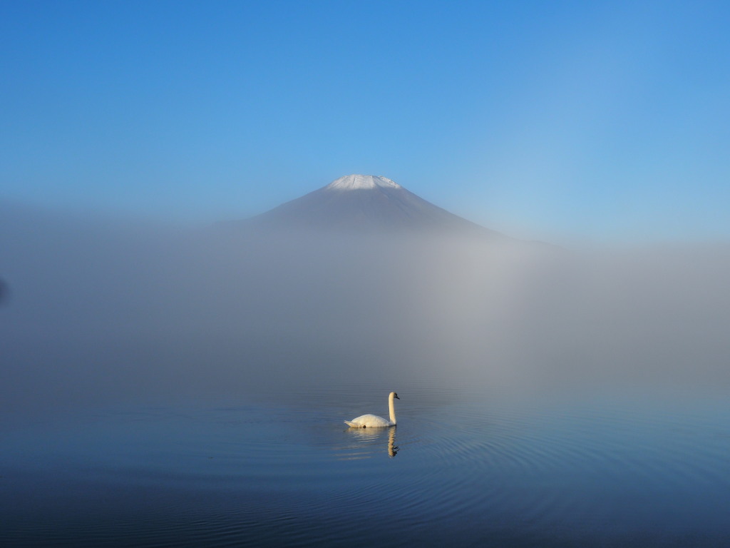 10/26 �K�X�̒��̔���