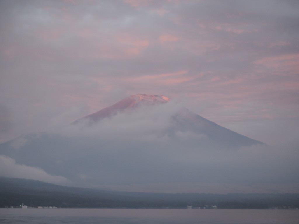 10/28 ��u�̕x�m�R