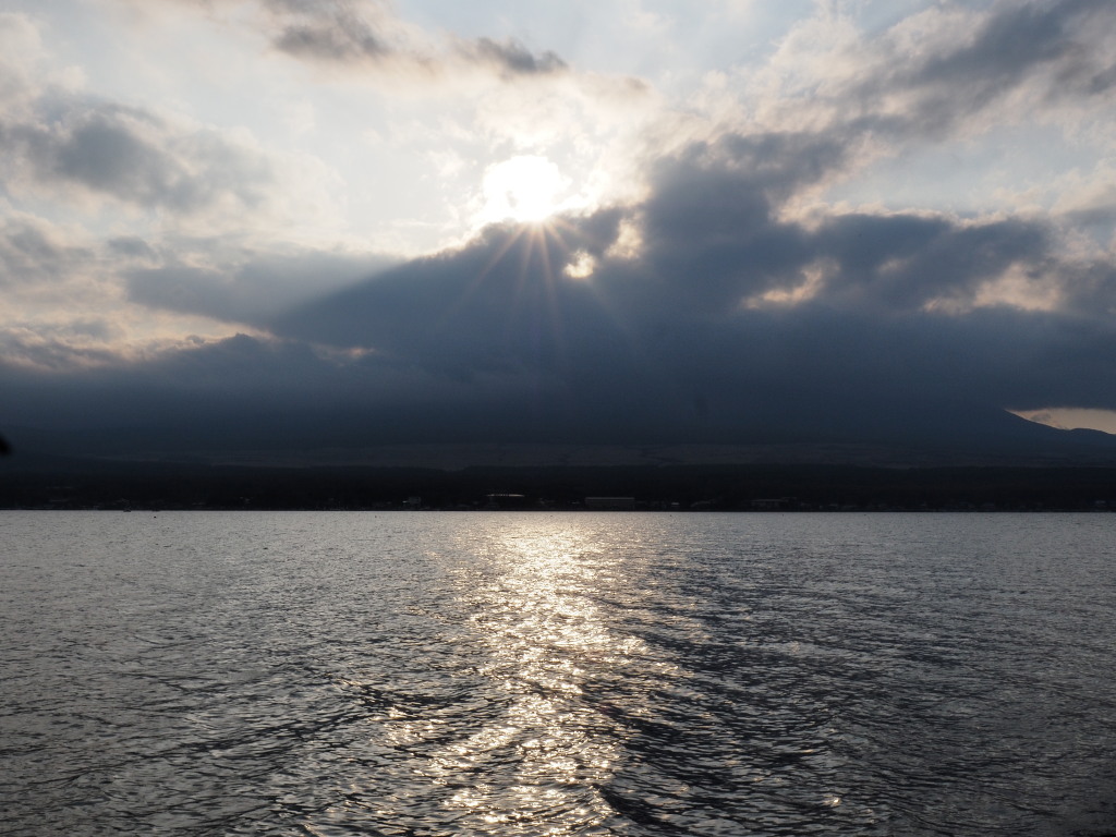 11/6 �_�̒��̃_�C��