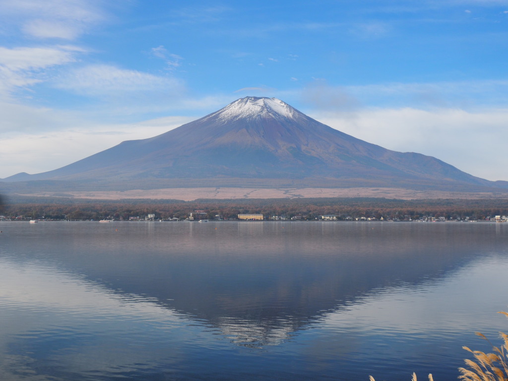 11/8 ���₩�ȋt���x�m