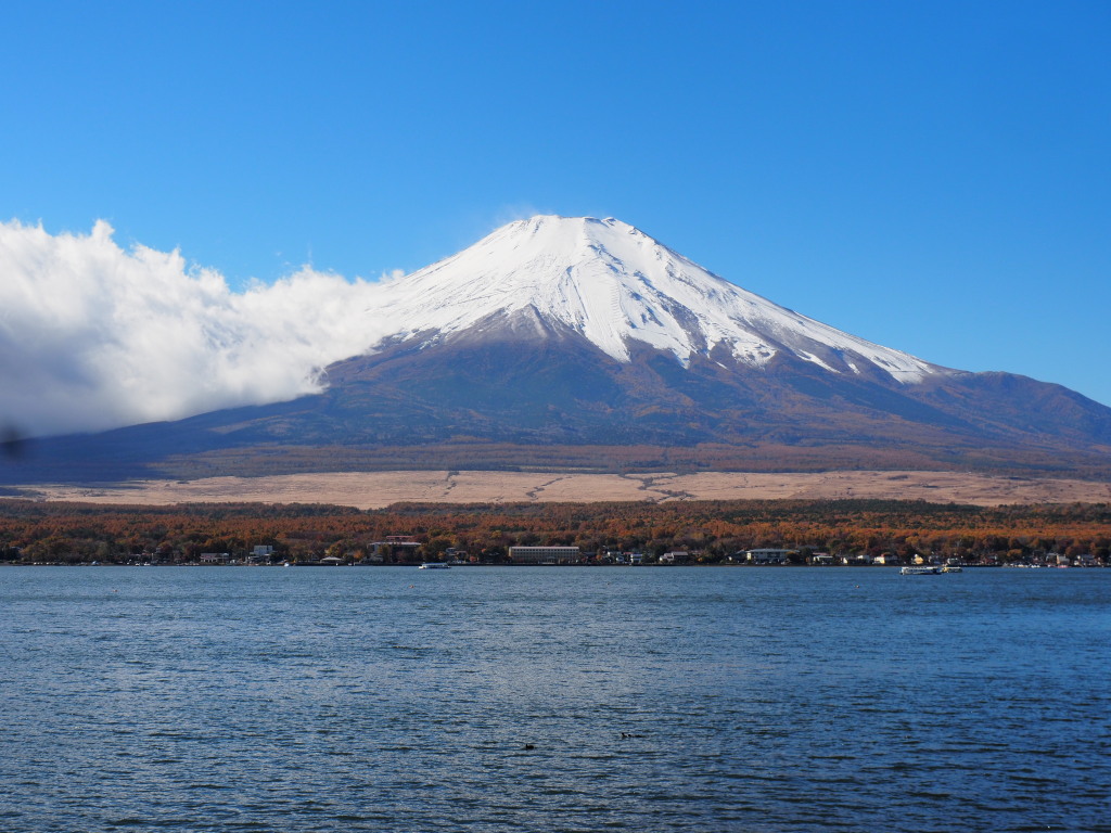 11/9 �^�����ȕx�m�R