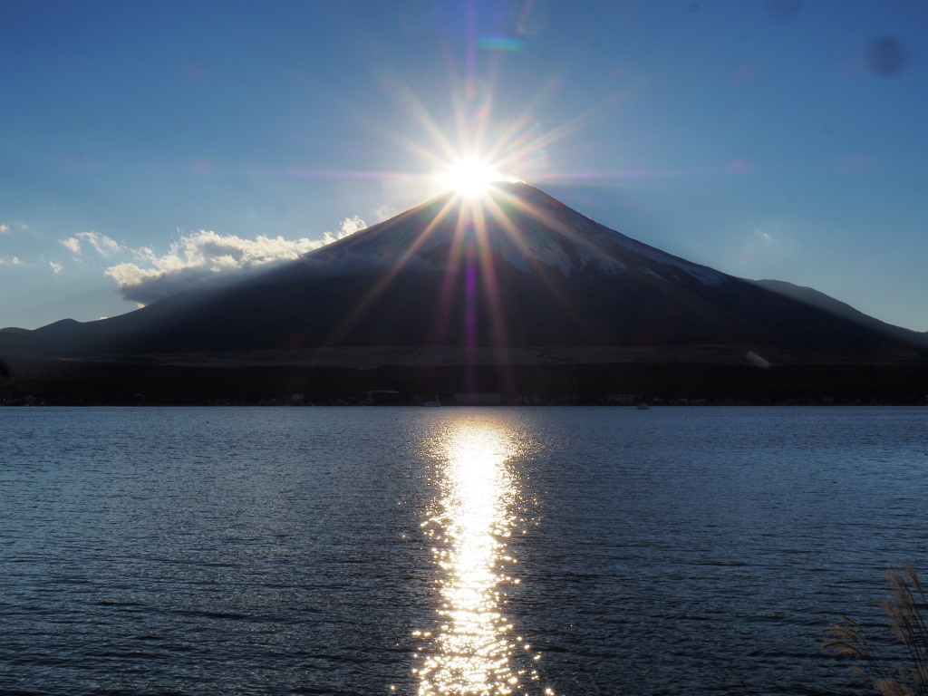 11/9 �_�C�������h�x�m