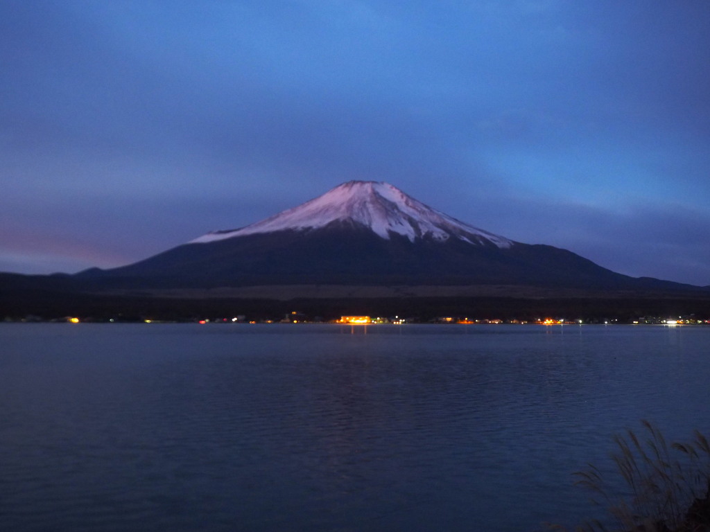 11/10 ���̕x�m�R