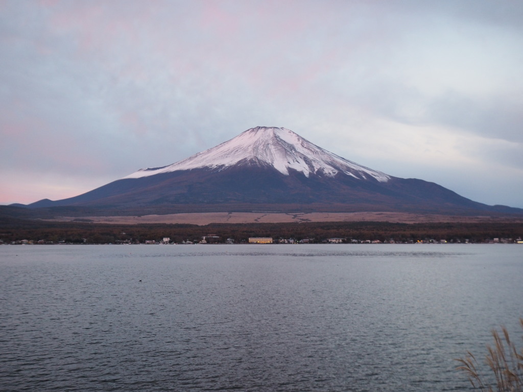 11/10 �ق�̂蒩�Ă���2d@xy