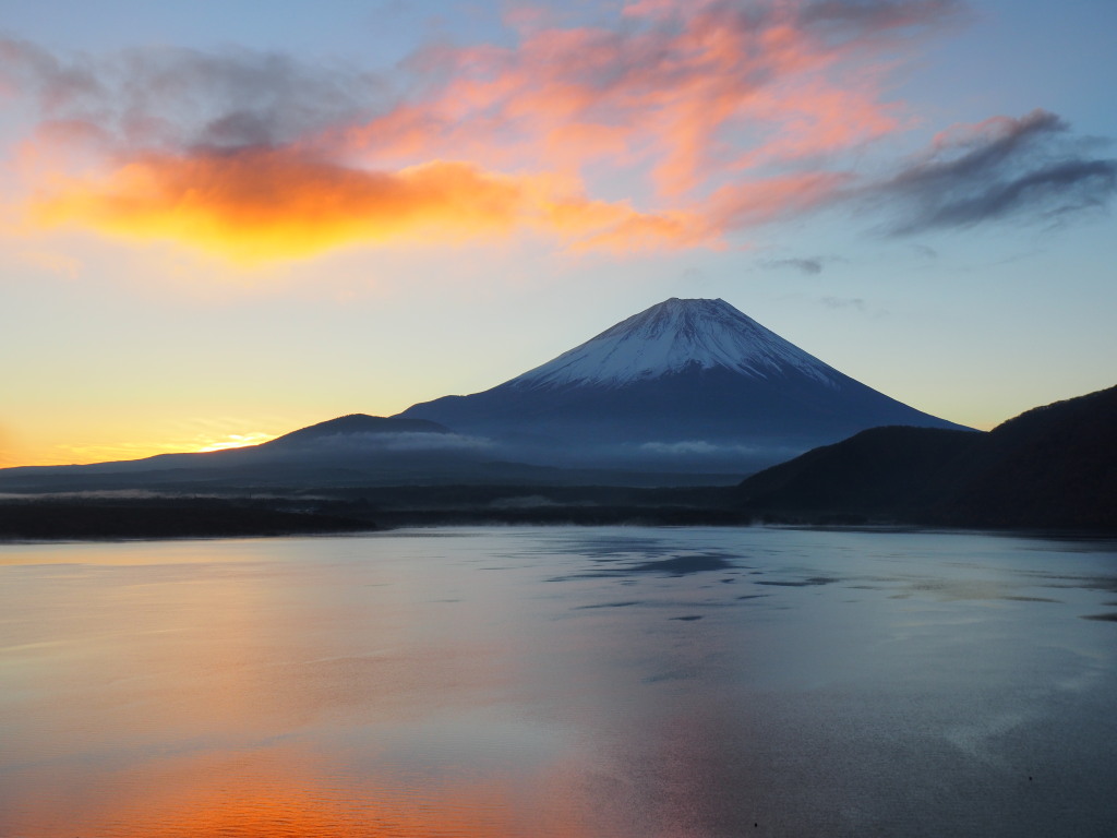 11/12 ���Ă��̕x�m�R