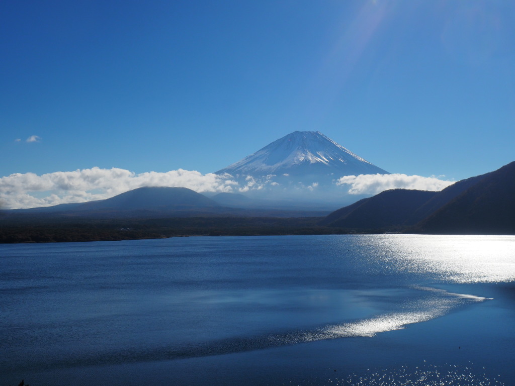 11/12 �����g�ƕx�m�R