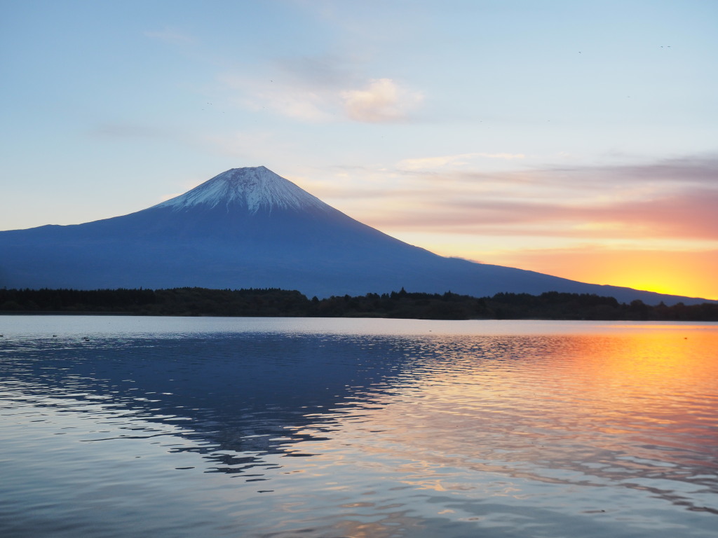 11/13 ���Ă��̕x�m�R