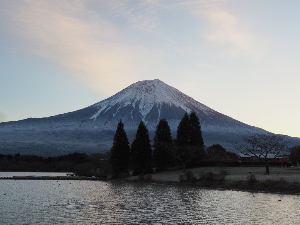 11/25 �c�ь΂̒��Ă�