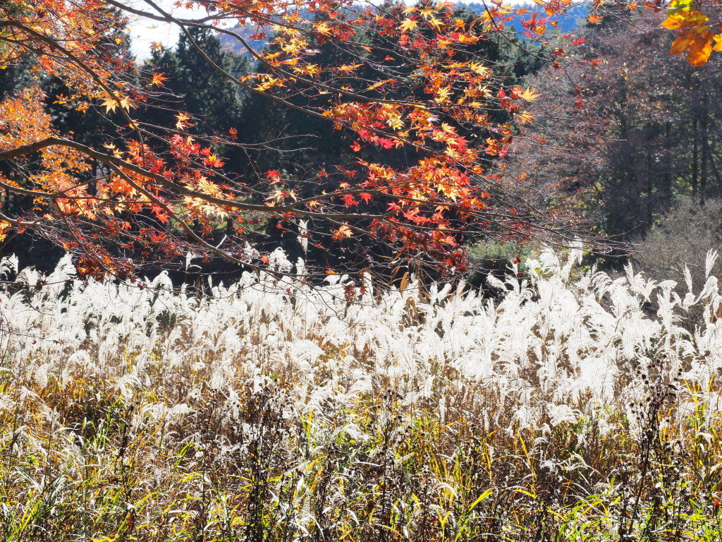 11/25 �U���̓r��(3)