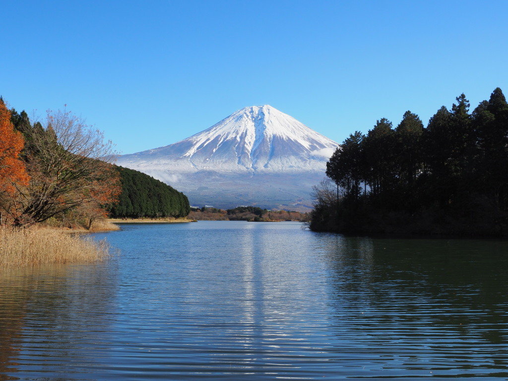 11/25 �U���̓r��(4)