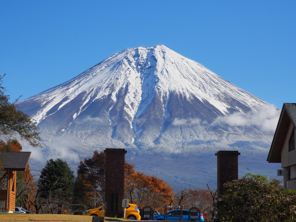 11/25 �U���̓r��(5)