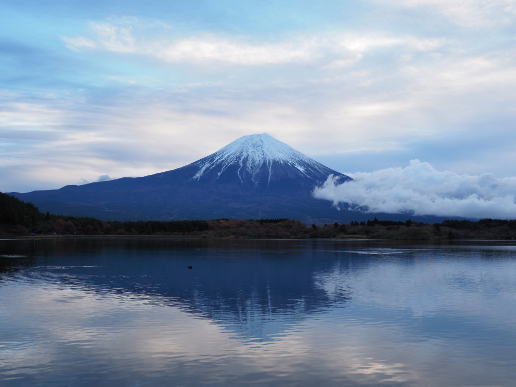 11/28 �t���x�m