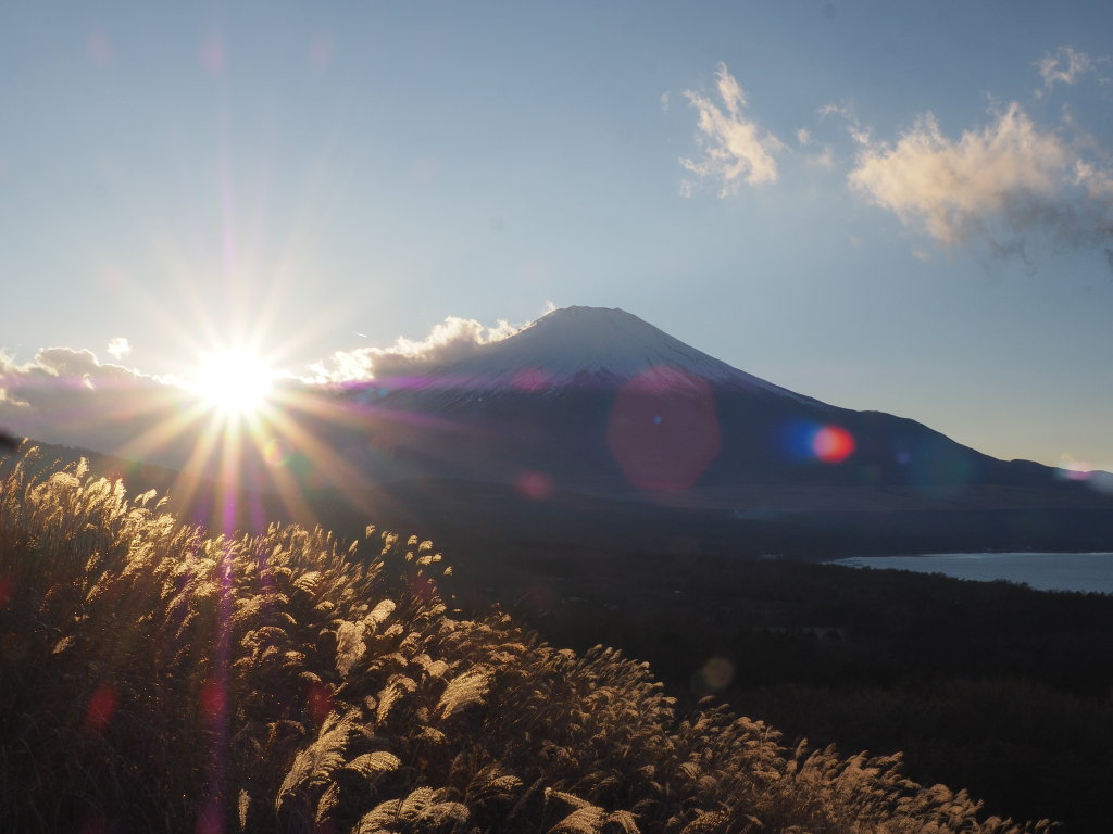 12/11 �X�X�L�Ɠ��̓���