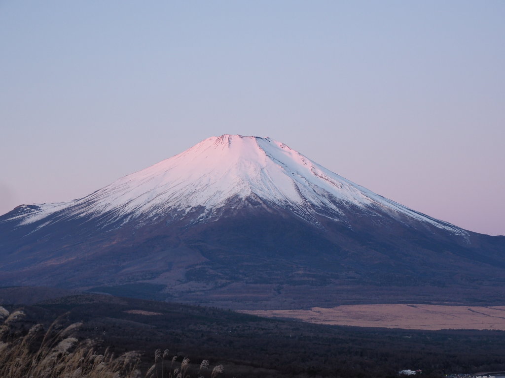 12/12 �R���Ɍ���