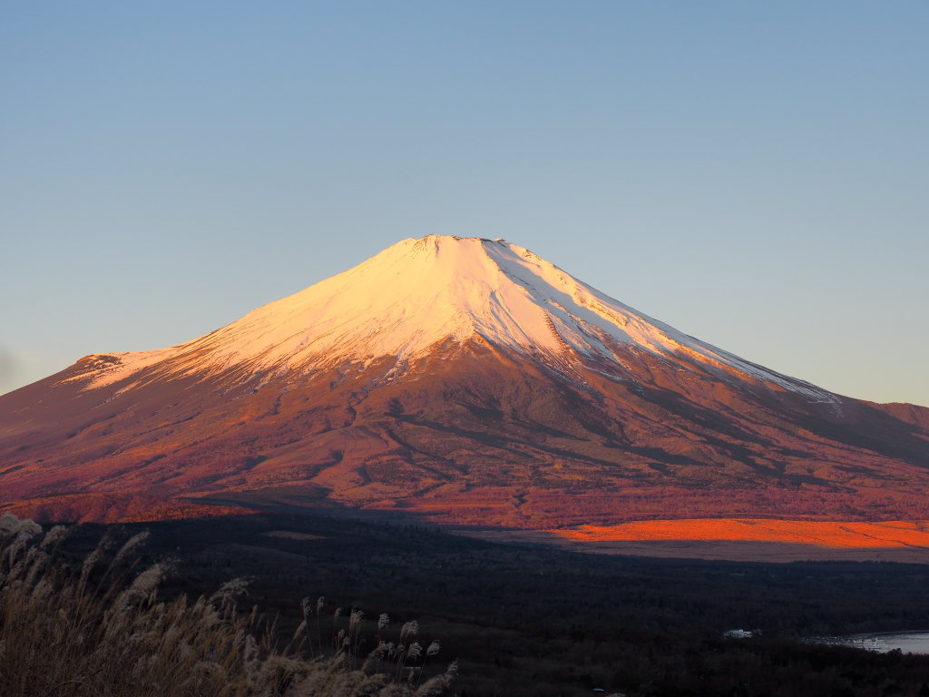 12/12 ���P�� ����