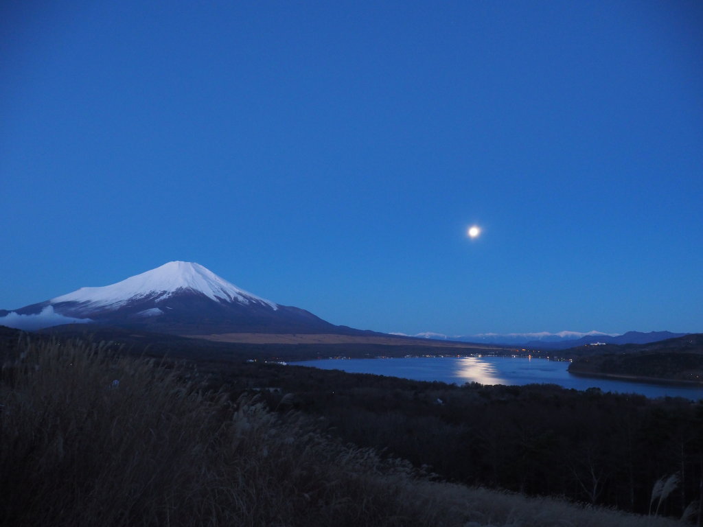 12/15 �����ƕx�m�R