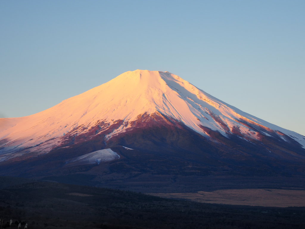 12/15 �I�����W�F�̕x�m�R