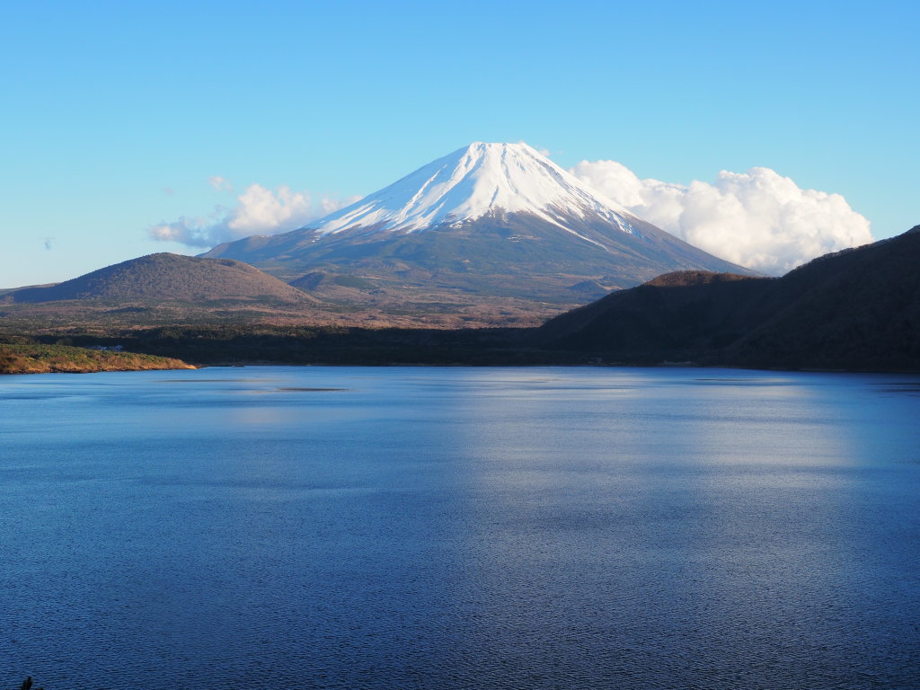 12/16 �{���΂���̕x�m�R