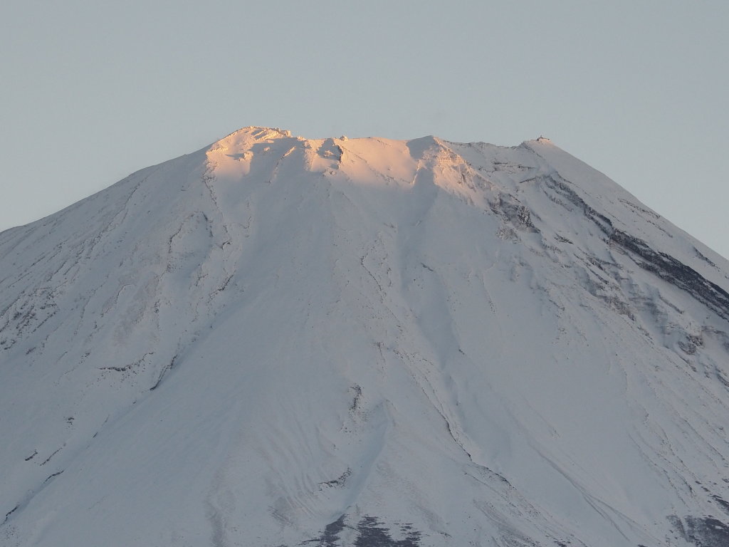 12/16 �[�Ă��̃A�b�v