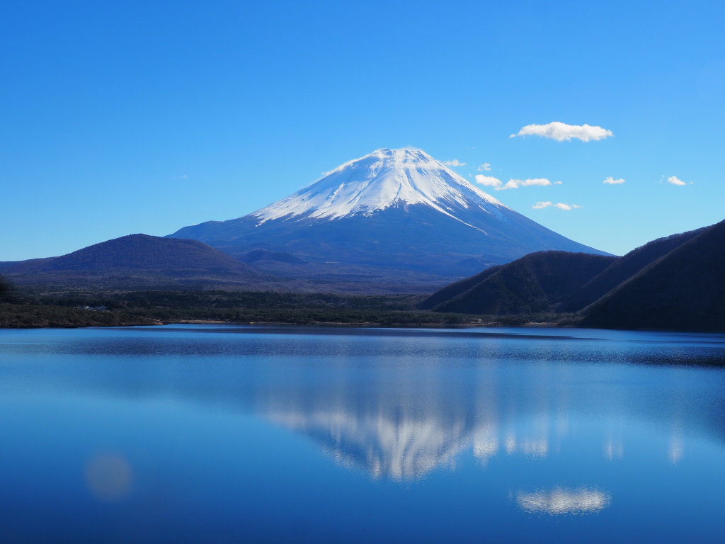 12/17 �t���x�m