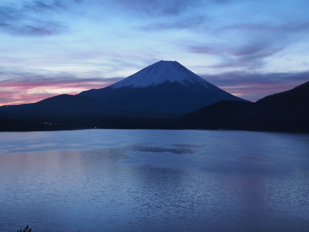 12/19 ���Ă��̕x�m�R