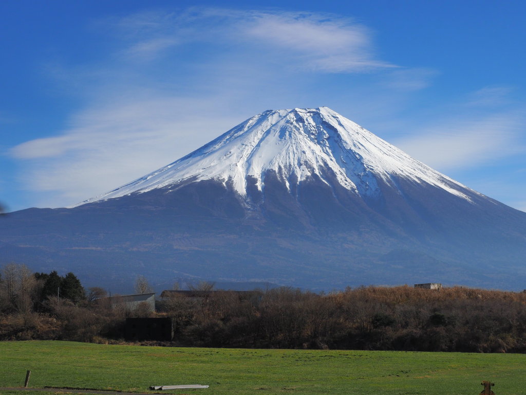 12/19 �A�蓹 ����₩�p�[�N����