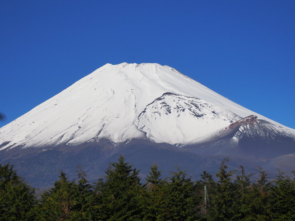 12/19 �A�蓹 �\���؍�������