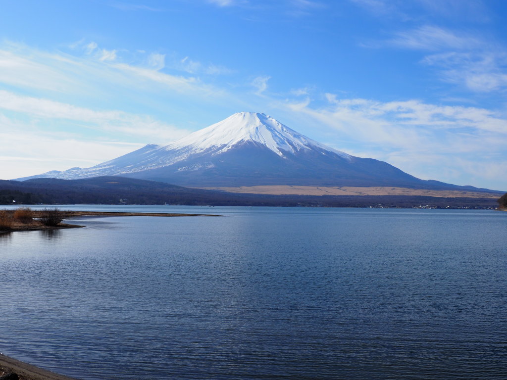 1/6 �L��������̕x�m�R