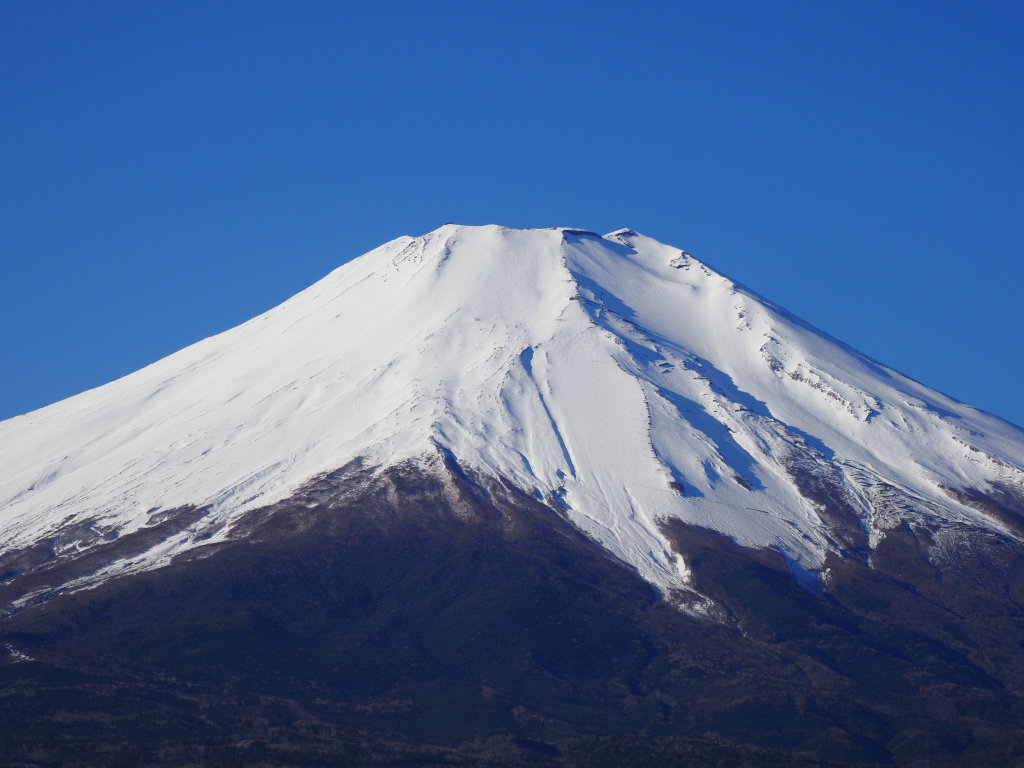 1/7 �R���̃A�b�v