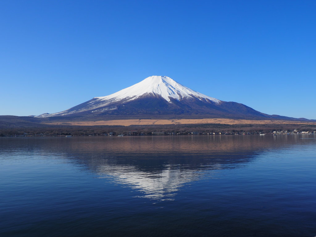 1/7 �ق�̂�t���x�m