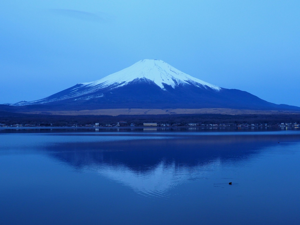 1/8 �閾���O�̕x�m�R