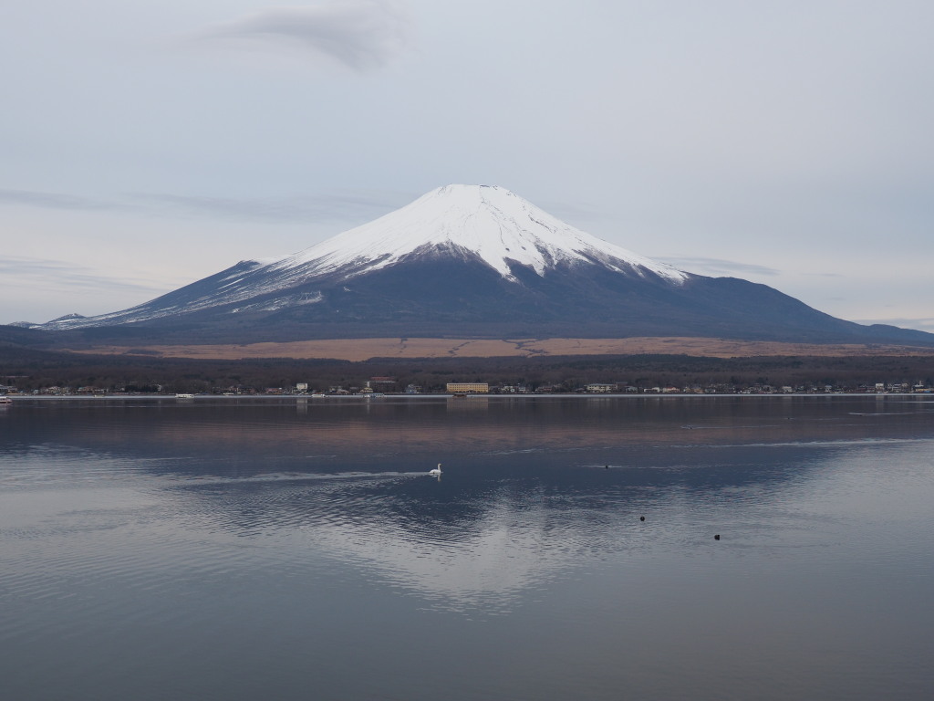 1/8 ���̌�Ⴊ�~��