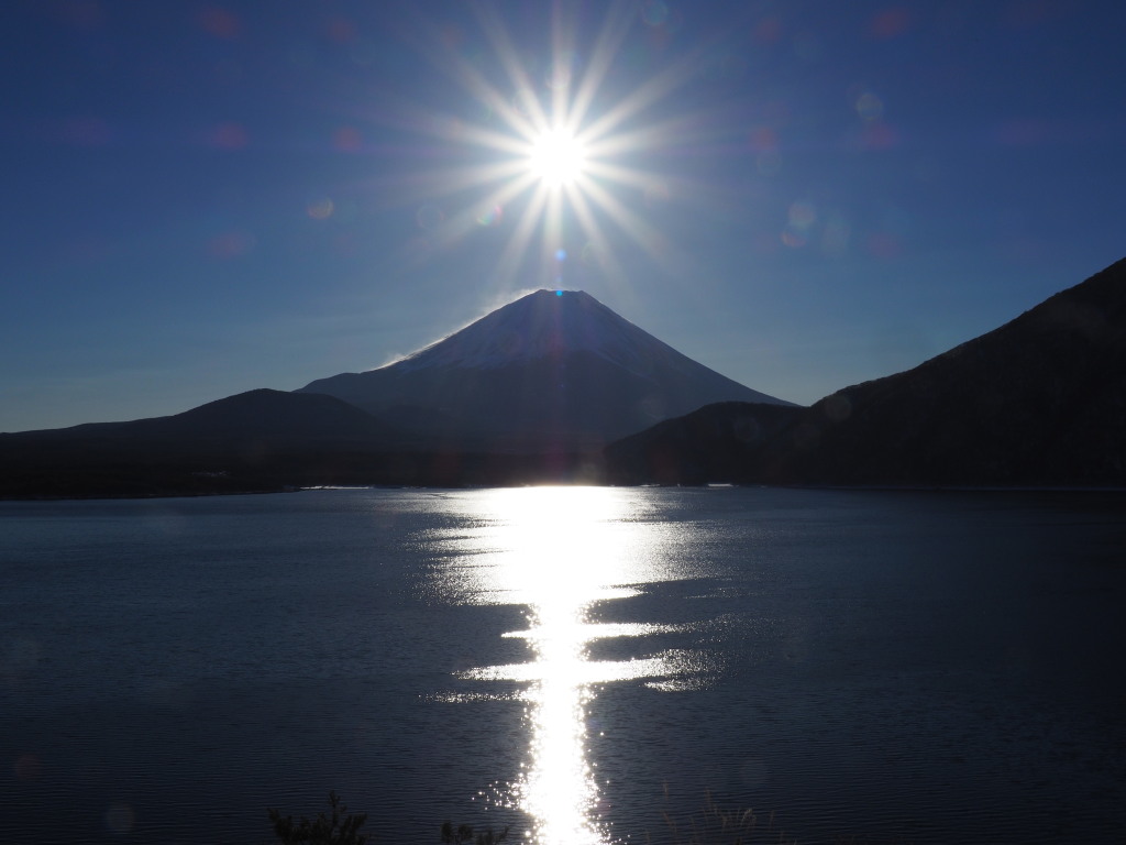 1/11 �x�m�R���̑��z