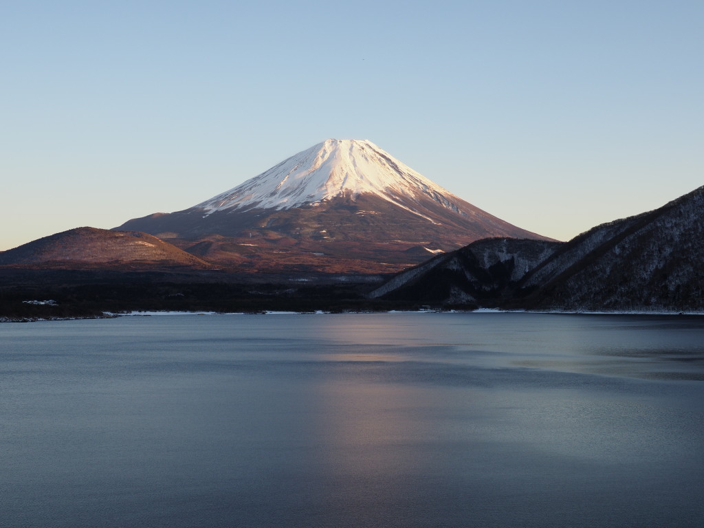 1/11 �[�Ă��̕x�m�R