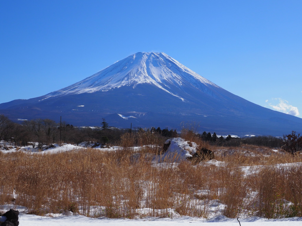 1/12 �����̕x�m�R