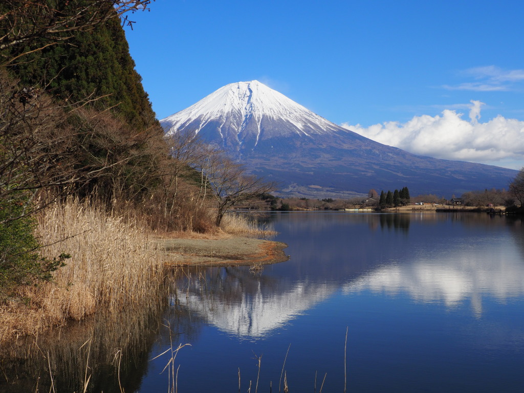 1/12 �c�ь΂̎U��(3)