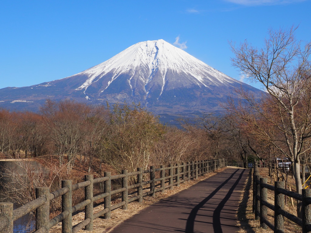 1/12 �c�ь΂̎U��(5)