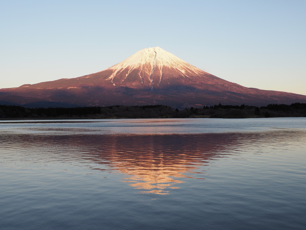 1/12 �c�ь΂���̗[�Ă�