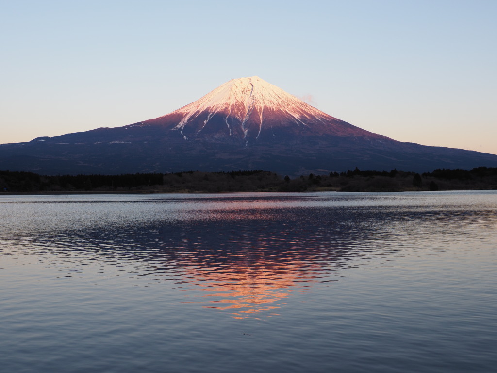 1/12 �[�Ă��̕x�m�R