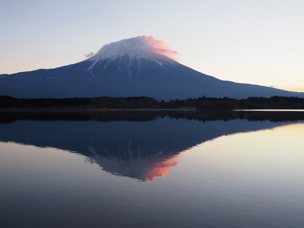 1/13 �c�ь΂���̒��Ă�