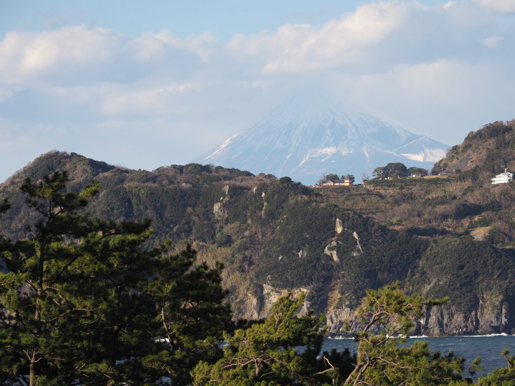 1/23 �����肩��̕x�m�R