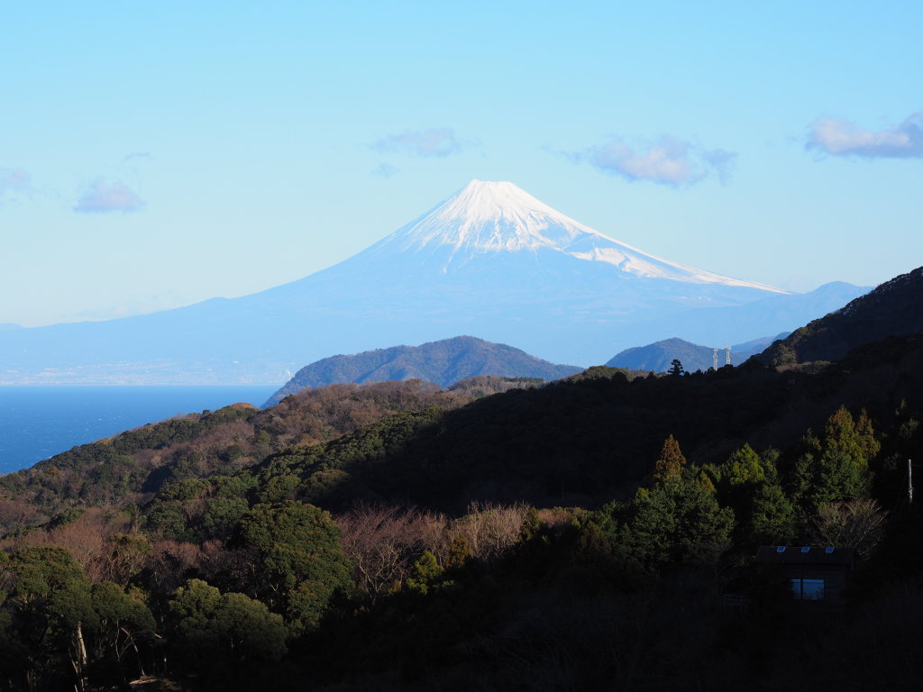 1/24 �Ε��̒I�c����