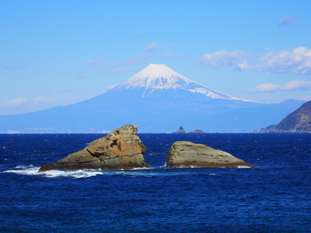 1/24 �_���̕x�m�R