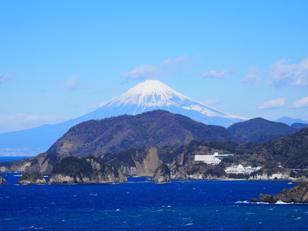 1/24 ����������̕x�m�R